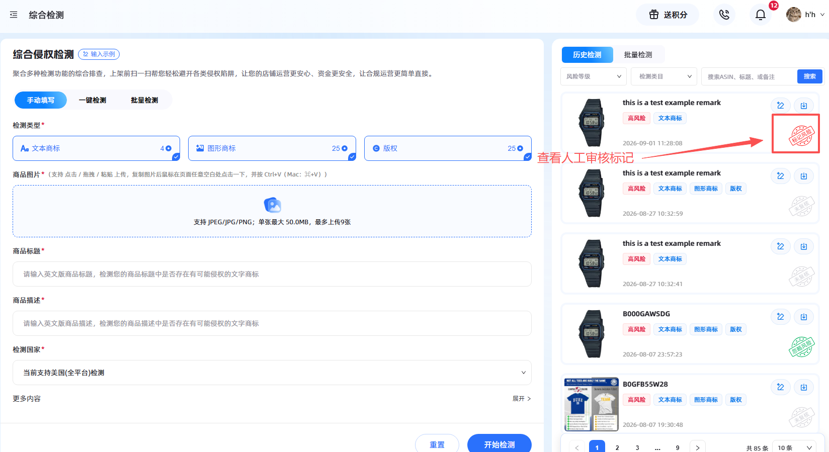 人工审核-结果示意图
