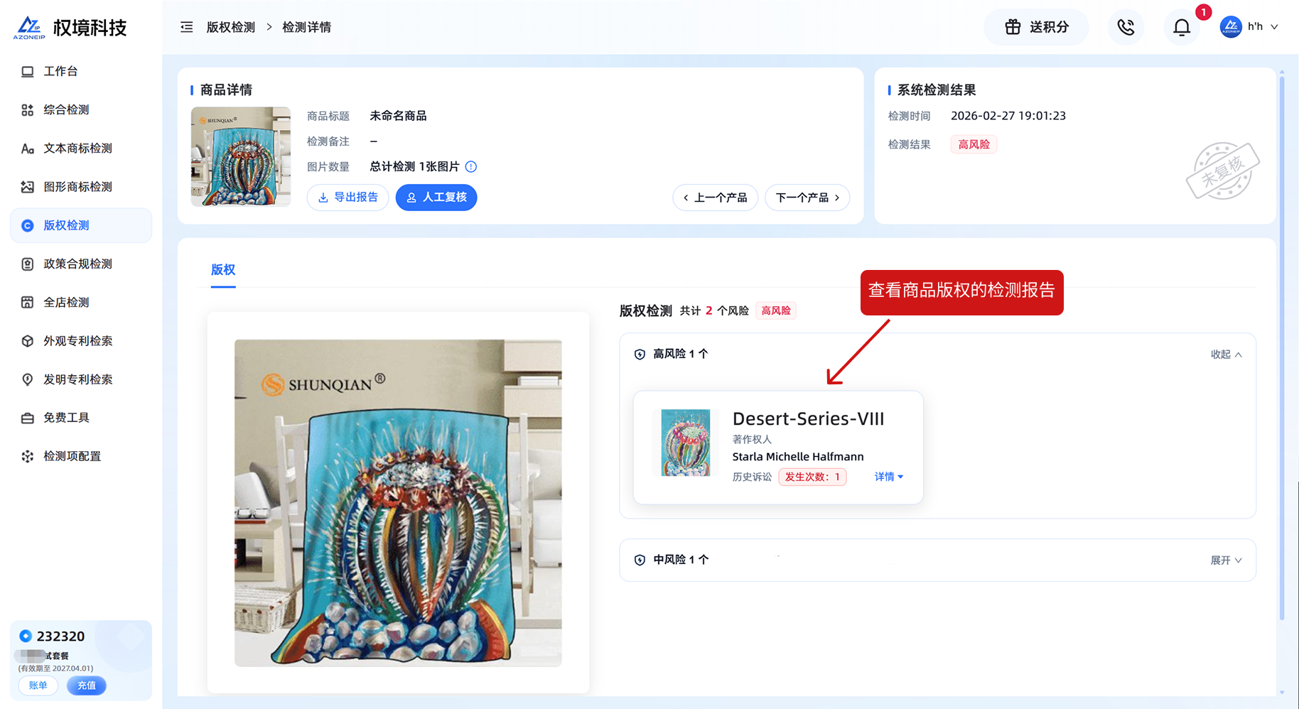 版权检测-报告示意图
